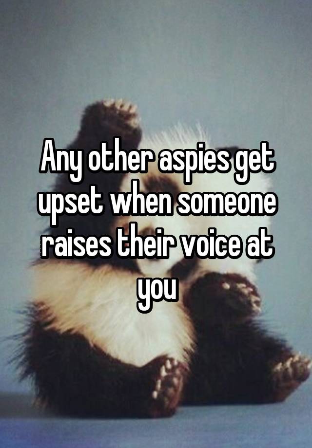 any-other-aspies-get-upset-when-someone-raises-their-voice-at-you