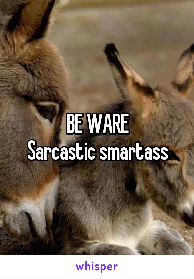 BE WARE
Sarcastic smartass