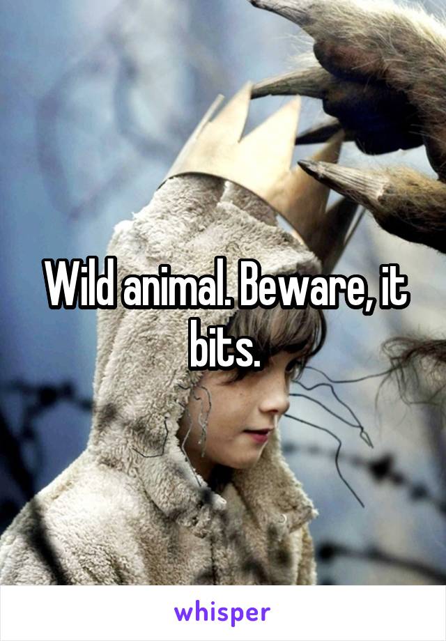 Wild animal. Beware, it bits.