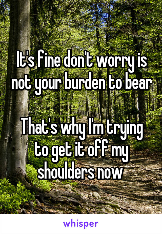 It's fine don't worry is not your burden to bear

That's why I'm trying to get it off my shoulders now 