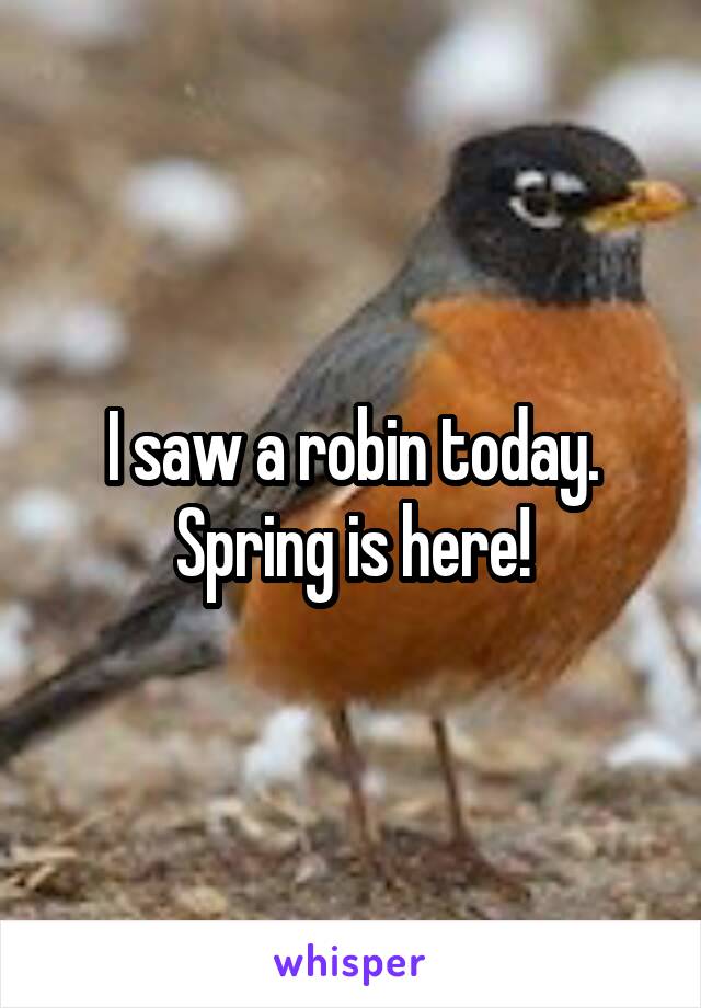 I saw a robin today. Spring is here!