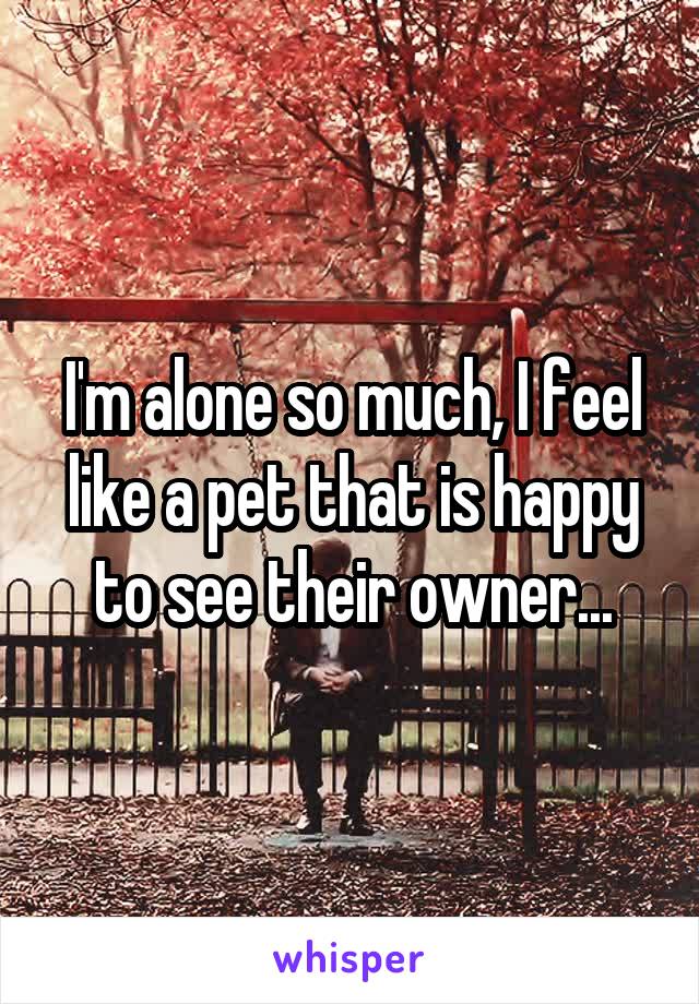 I'm alone so much, I feel like a pet that is happy to see their owner...