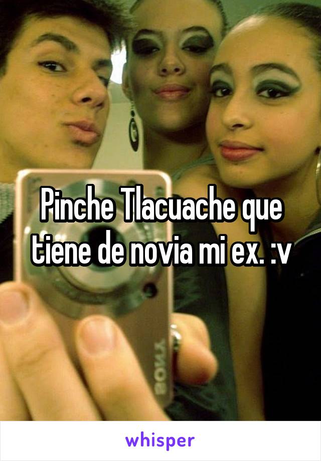 Pinche Tlacuache que tiene de novia mi ex. :v