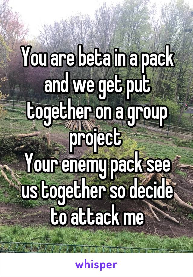 You are beta in a pack and we get put together on a group project 
Your enemy pack see us together so decide to attack me