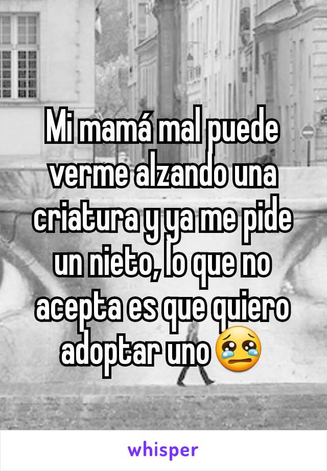 Mi mamá mal puede verme alzando una criatura y ya me pide un nieto, lo que no acepta es que quiero adoptar uno😢