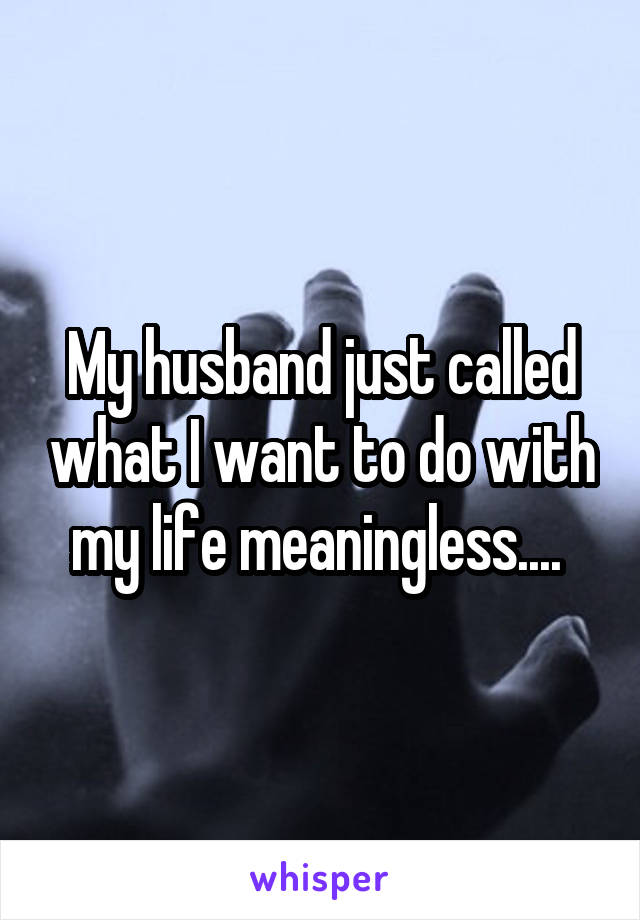 My husband just called what I want to do with my life meaningless.... 