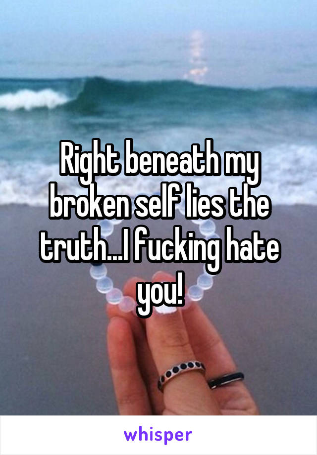 Right beneath my broken self lies the truth...I fucking hate you!