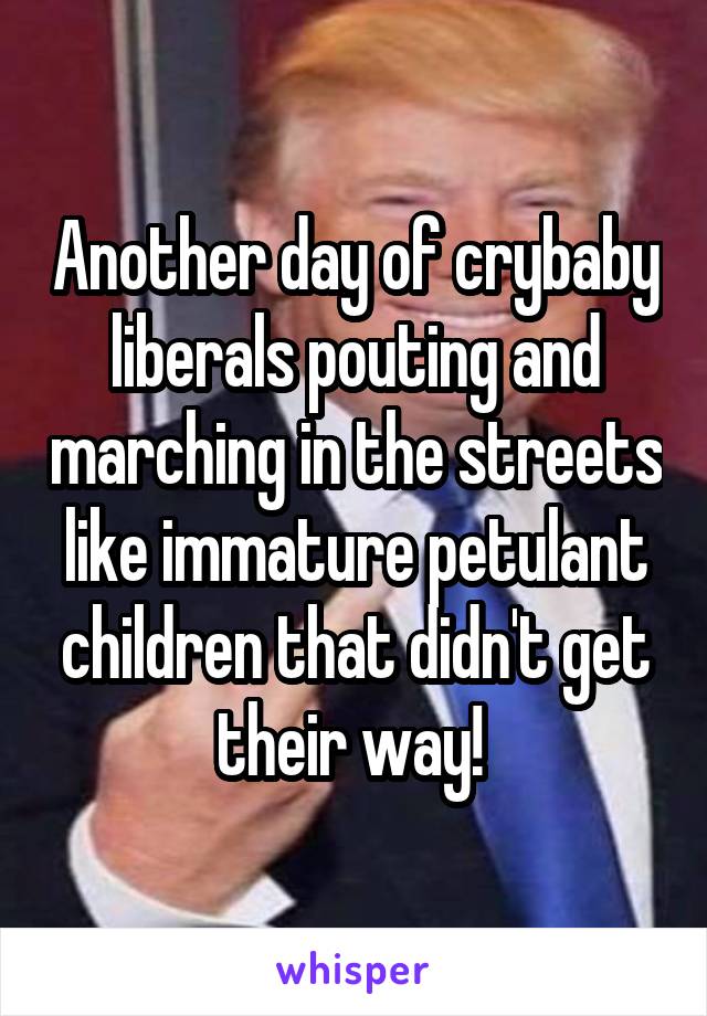 Another day of crybaby liberals pouting and marching in the streets like immature petulant children that didn't get their way! 