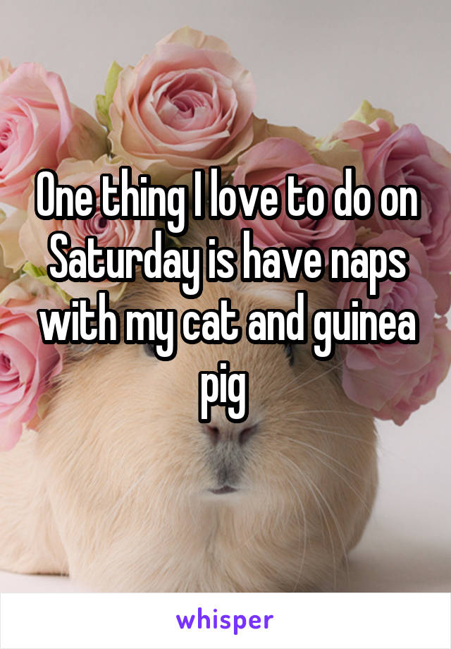 One thing I love to do on Saturday is have naps with my cat and guinea pig 
