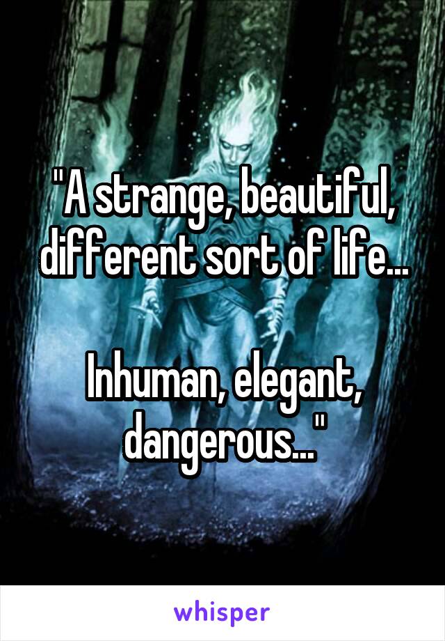 "A strange, beautiful, different sort of life...

Inhuman, elegant, dangerous..."