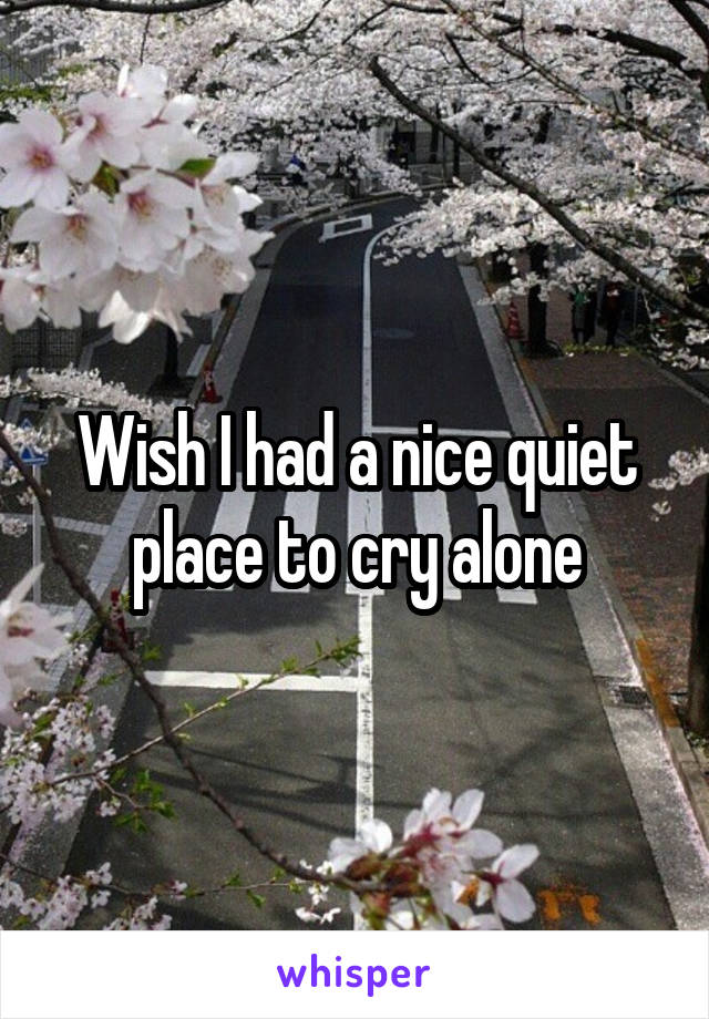 Wish I had a nice quiet place to cry alone