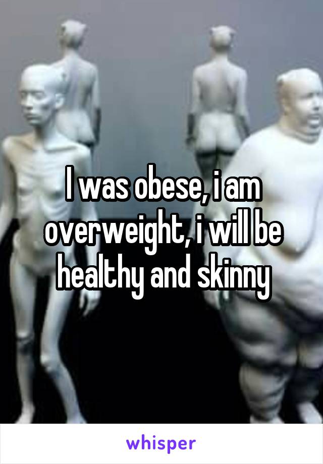 I was obese, i am overweight, i will be healthy and skinny