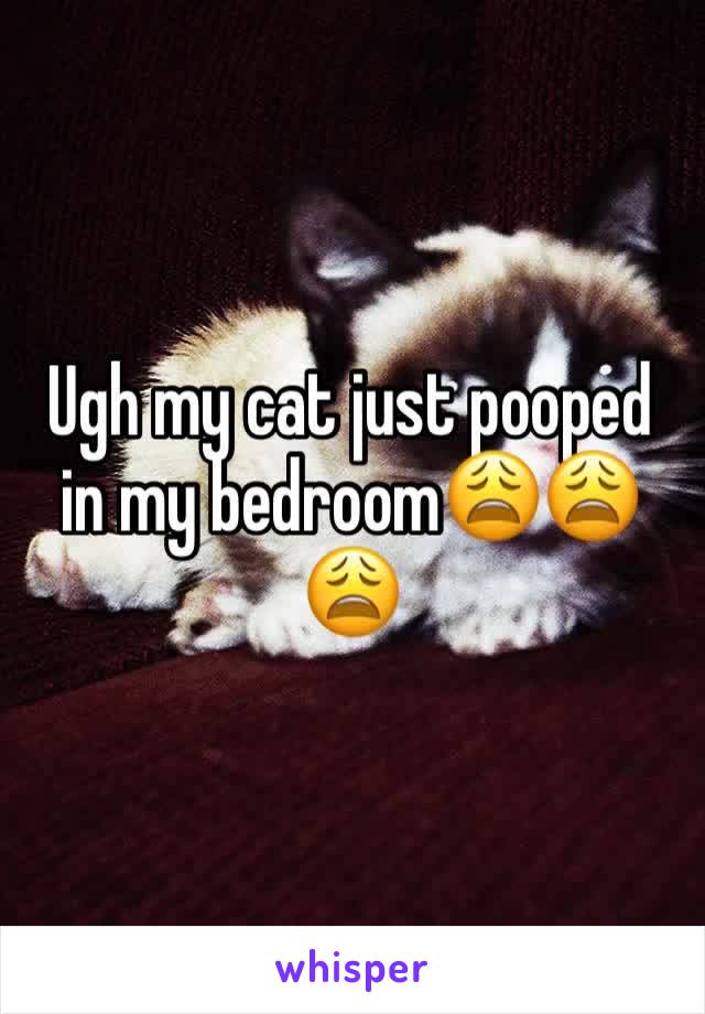 Ugh my cat just pooped in my bedroom😩😩😩