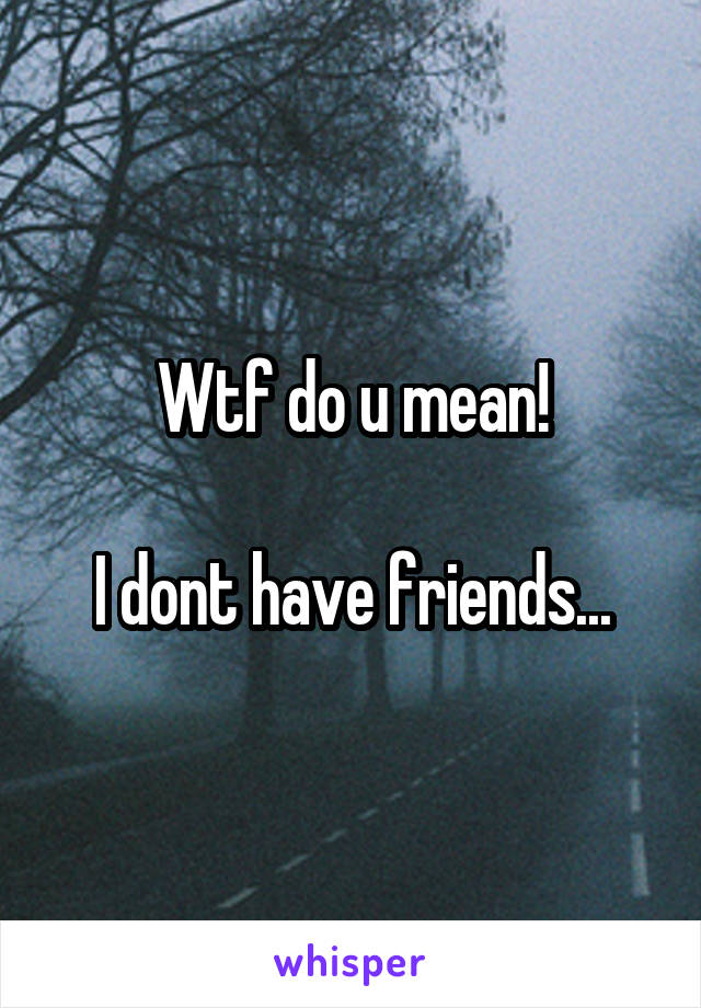 Wtf do u mean!

I dont have friends...