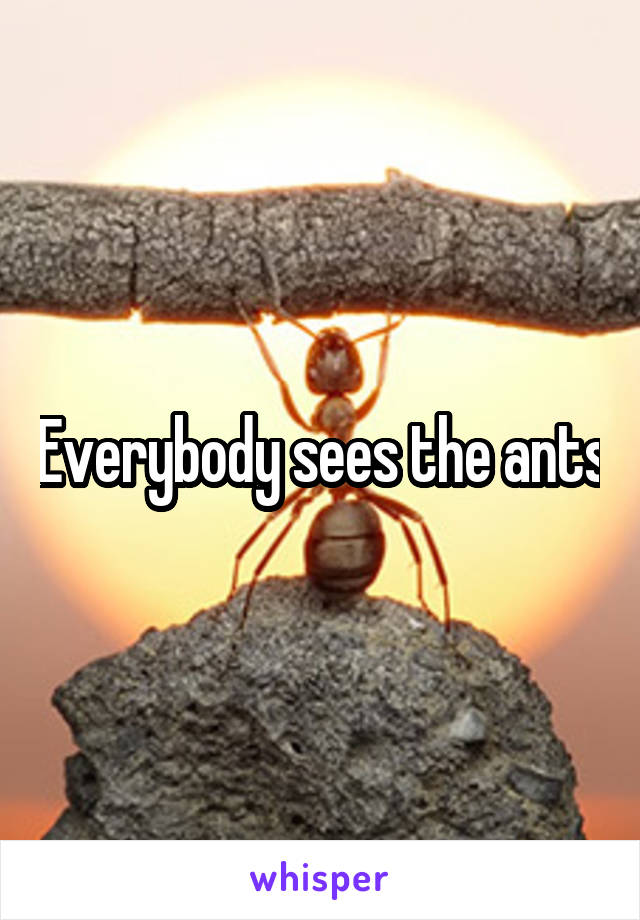 Everybody sees the ants