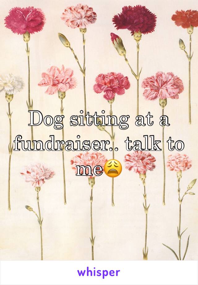 Dog sitting at a fundraiser.. talk to me😩