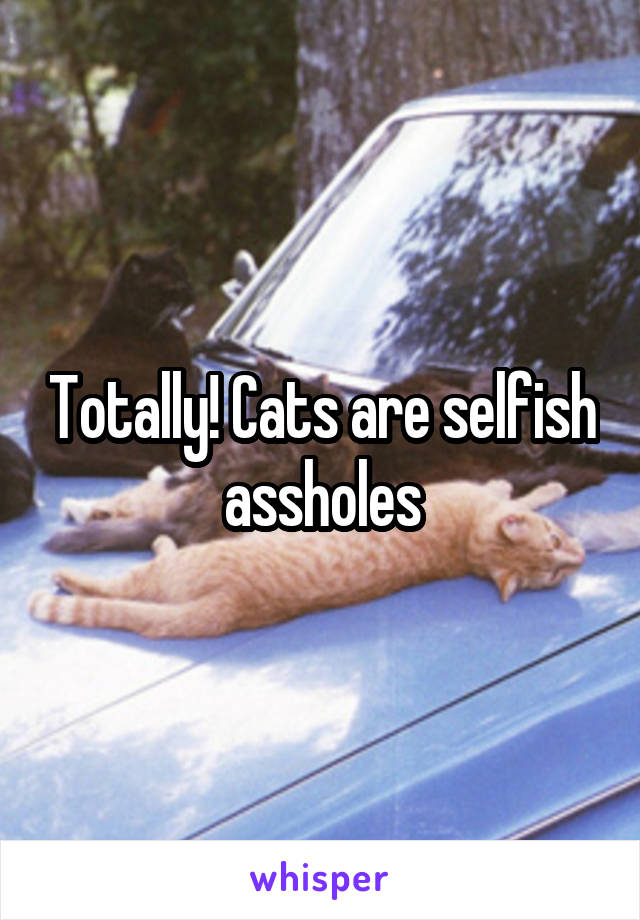 Totally! Cats are selfish assholes