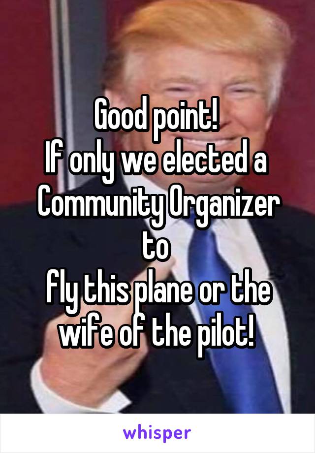 Good point! 
If only we elected a 
Community Organizer to 
fly this plane or the wife of the pilot! 