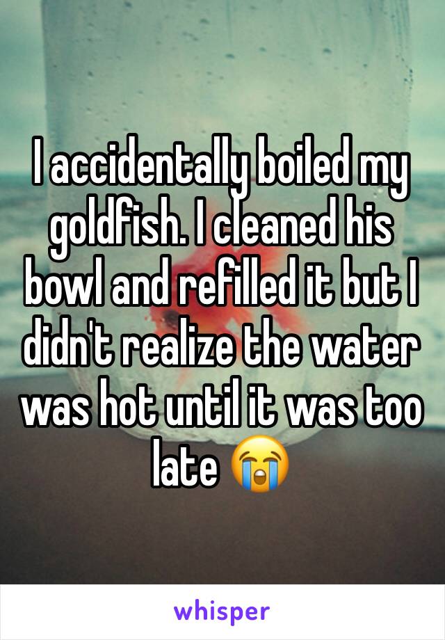I accidentally boiled my goldfish. I cleaned his bowl and refilled it but I didn't realize the water was hot until it was too late 😭 