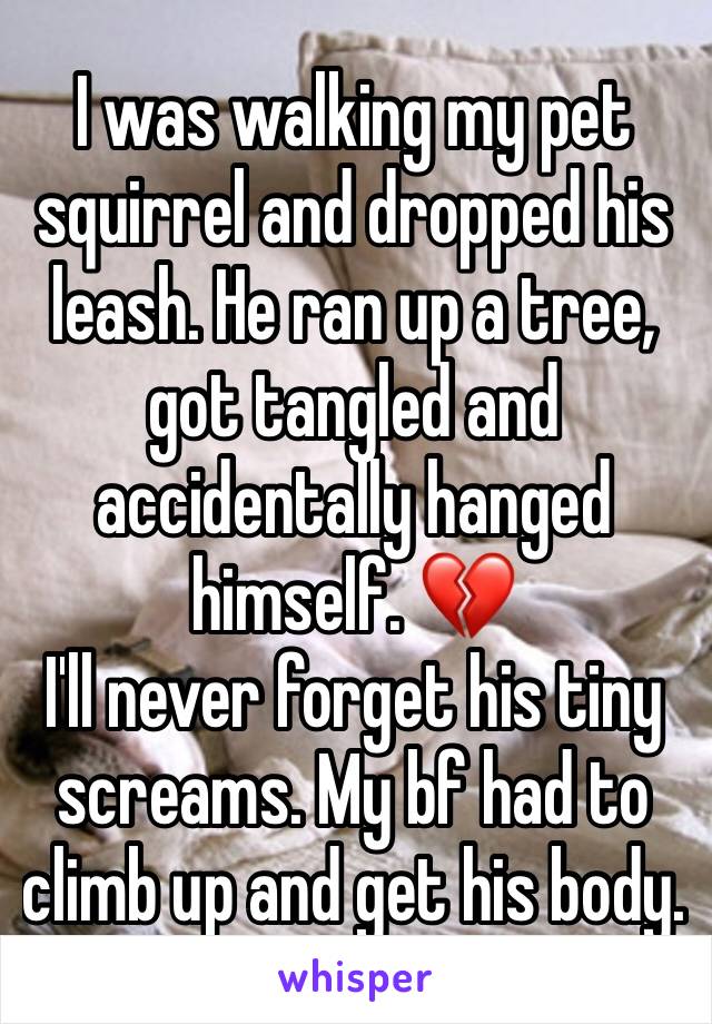 I was walking my pet squirrel and dropped his leash. He ran up a tree, got tangled and accidentally hanged himself. 💔
I'll never forget his tiny screams. My bf had to climb up and get his body.