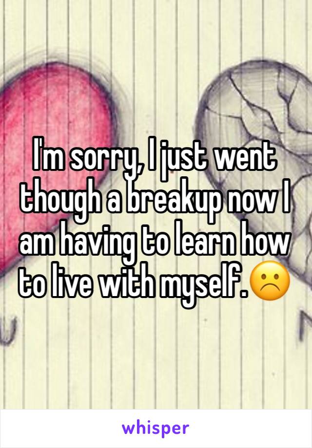 I'm sorry, I just went though a breakup now I am having to learn how to live with myself.☹️