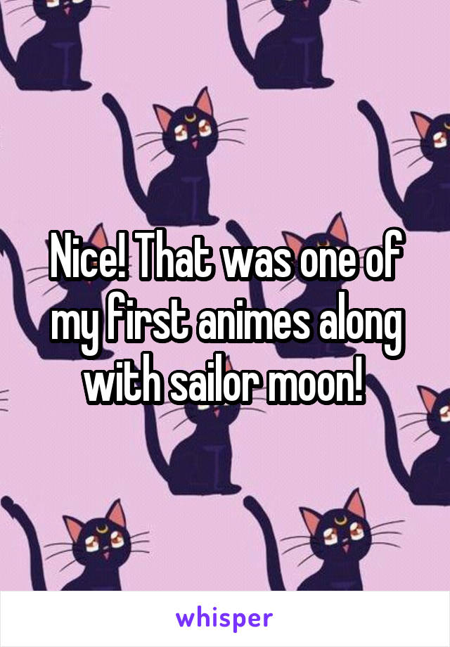 Nice! That was one of my first animes along with sailor moon! 