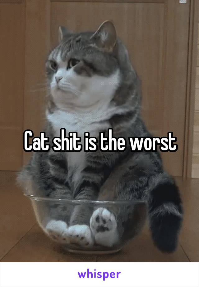 Cat shit is the worst