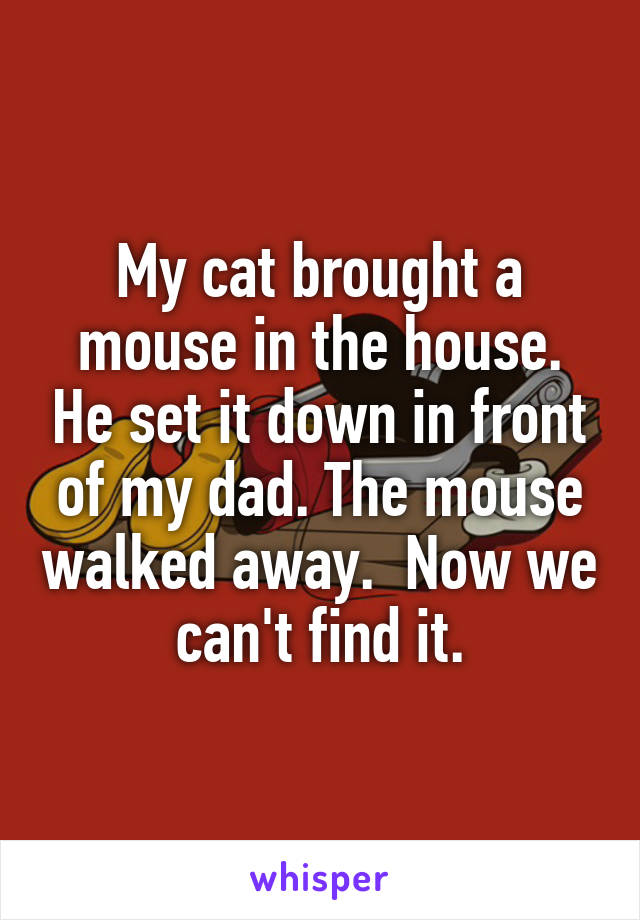 My cat brought a mouse in the house. He set it down in front of my dad. The mouse walked away.  Now we can't find it.