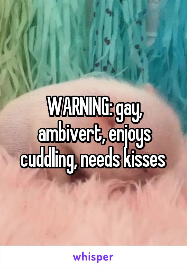 WARNING: gay, ambivert, enjoys cuddling, needs kisses 