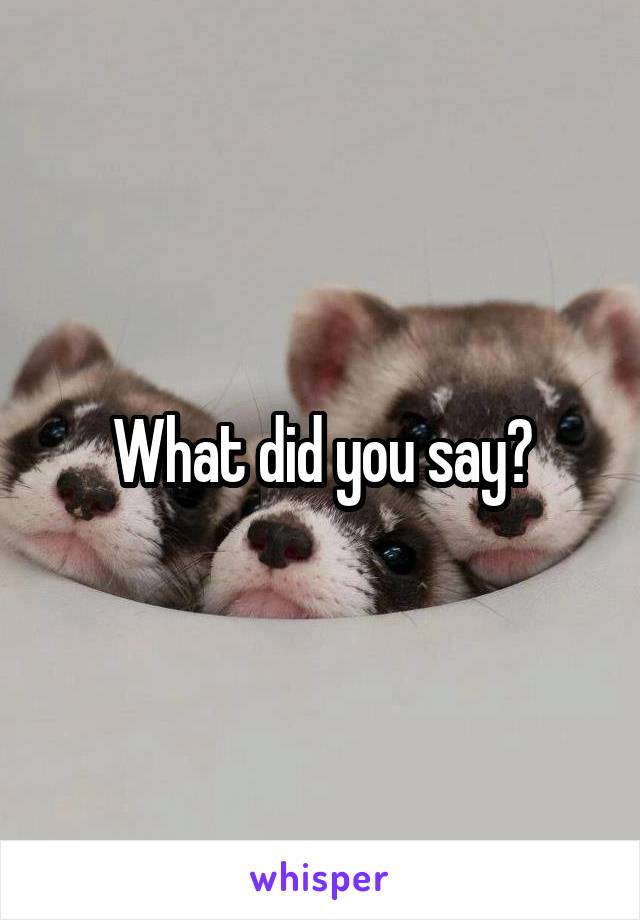 What did you say?