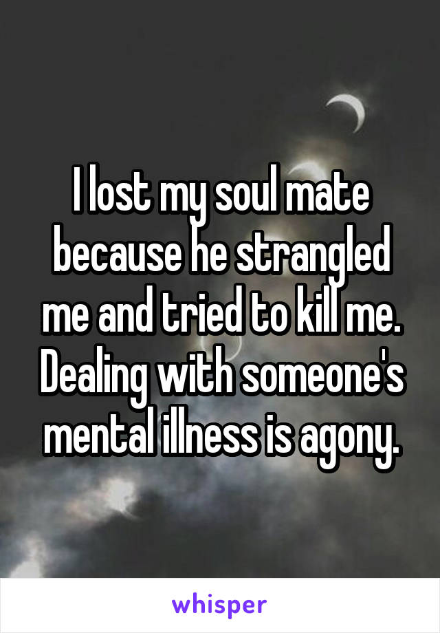 I lost my soul mate because he strangled me and tried to kill me. Dealing with someone's mental illness is agony.