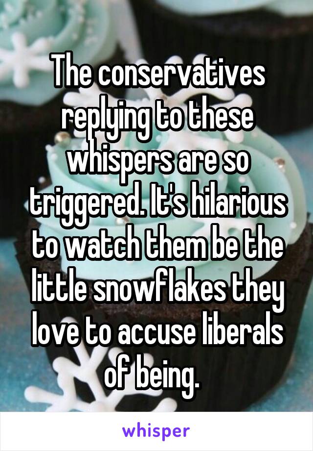 The conservatives replying to these whispers are so triggered. It's hilarious to watch them be the little snowflakes they love to accuse liberals of being.  