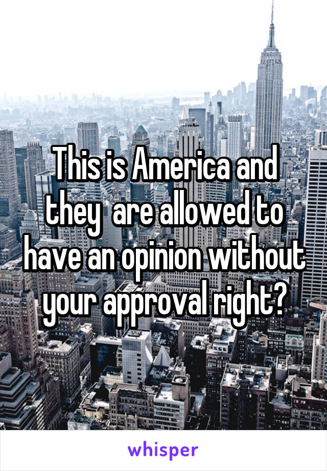 This is America and they  are allowed to have an opinion without your approval right?