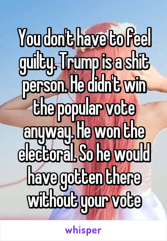 You don't have to feel guilty. Trump is a shit person. He didn't win the popular vote anyway. He won the electoral. So he would have gotten there without your vote