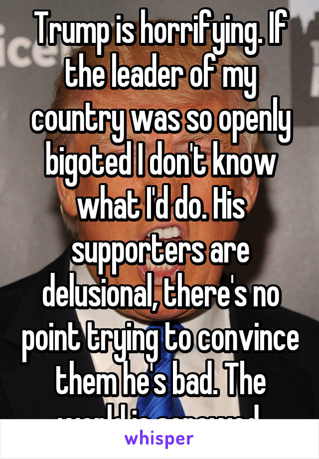 Trump is horrifying. If the leader of my country was so openly bigoted I don't know what I'd do. His supporters are delusional, there's no point trying to convince them he's bad. The world is screwed.