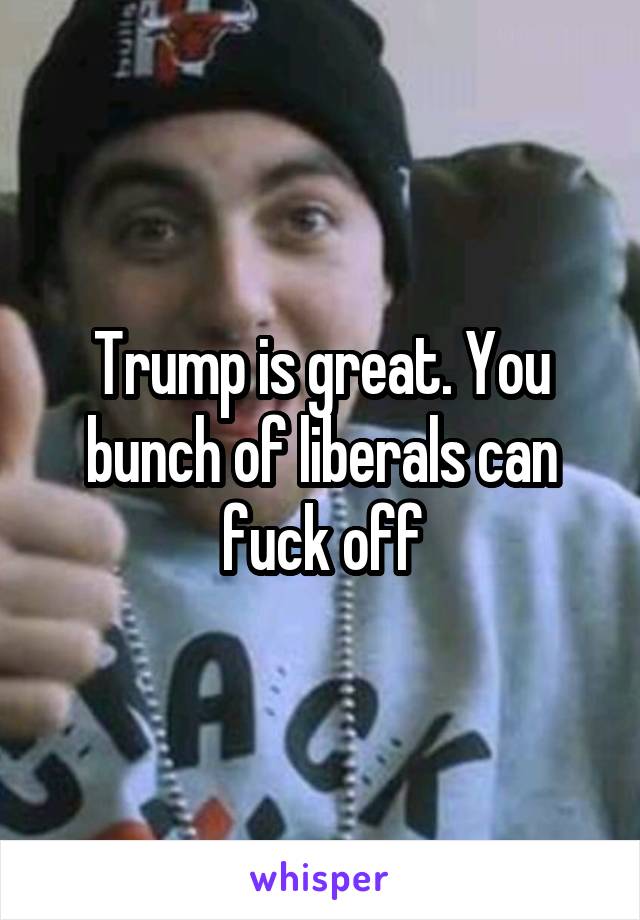 Trump is great. You bunch of liberals can fuck off