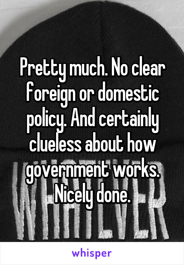 Pretty much. No clear foreign or domestic policy. And certainly clueless about how government works. Nicely done.