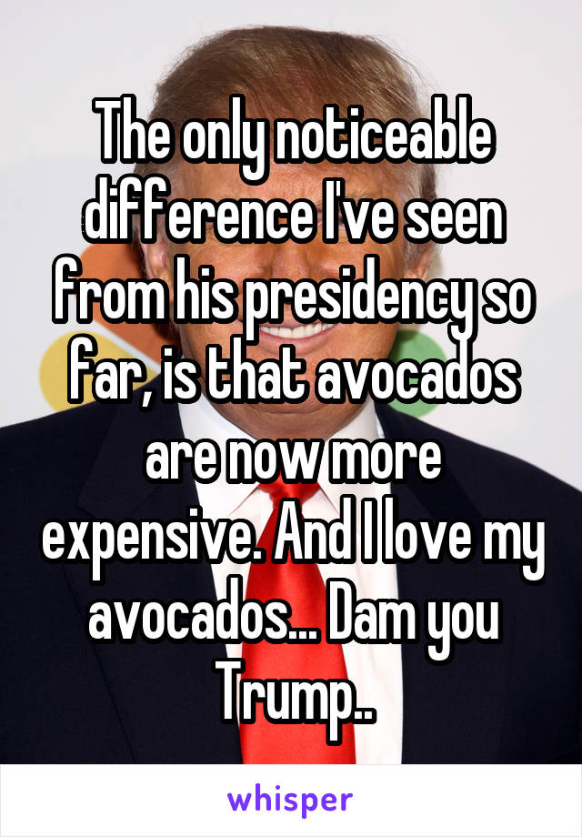 The only noticeable difference I've seen from his presidency so far, is that avocados are now more expensive. And I love my avocados... Dam you Trump..