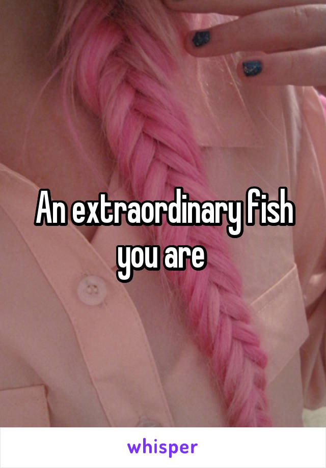 An extraordinary fish you are 