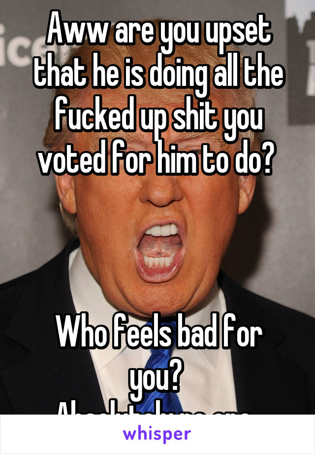 Aww are you upset that he is doing all the fucked up shit you voted for him to do? 



Who feels bad for you? 
Absolutely no one. 