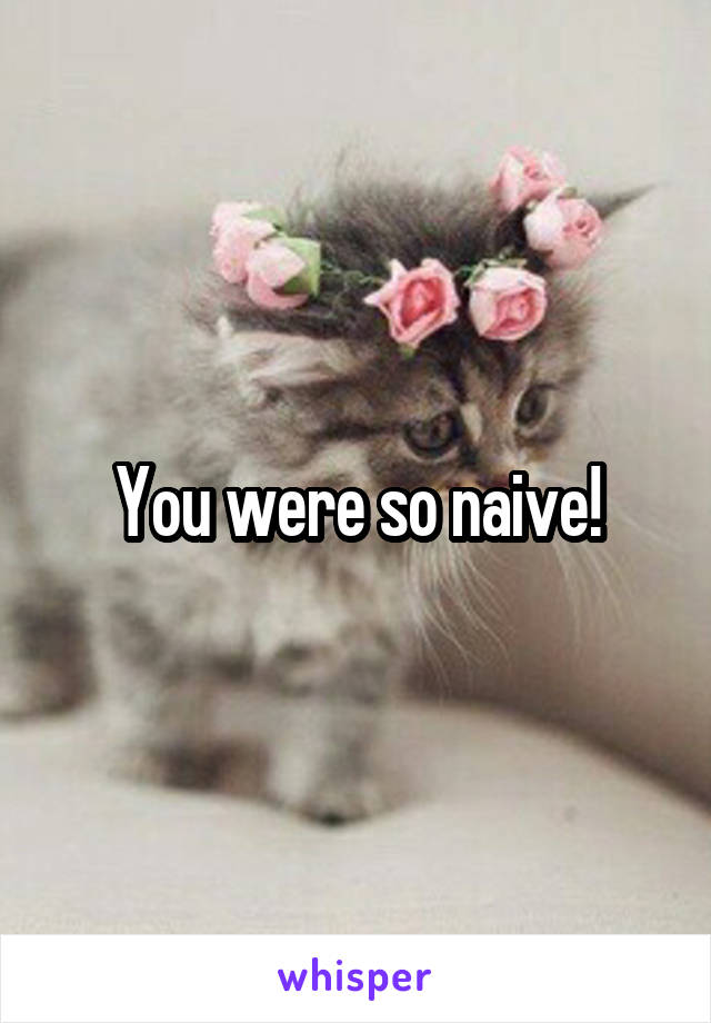 You were so naive!