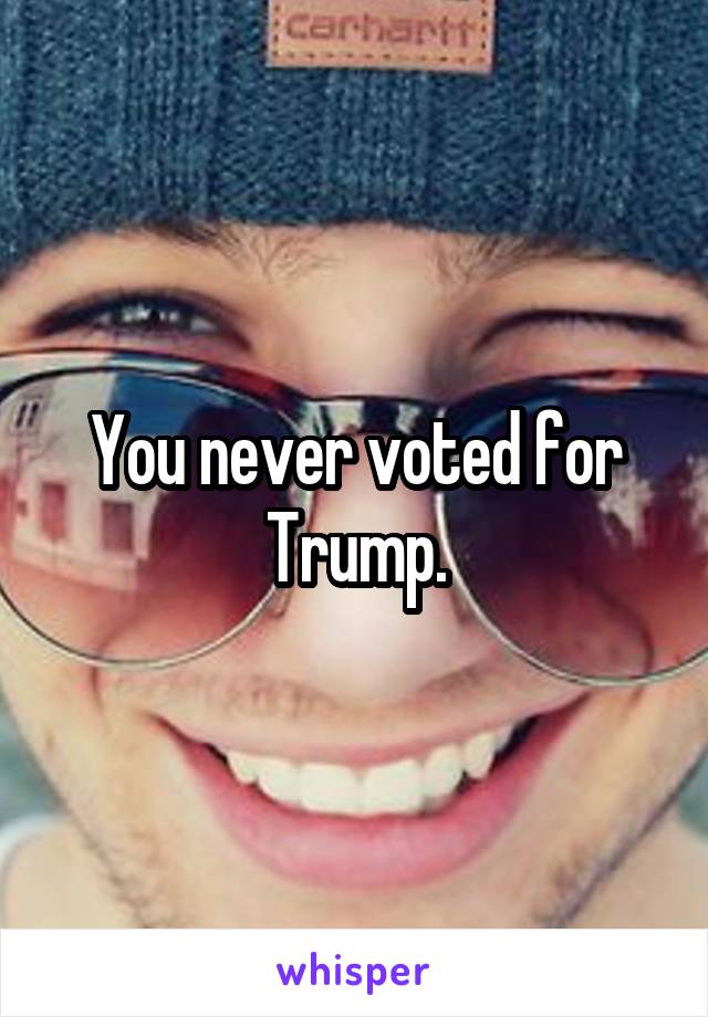 You never voted for Trump.