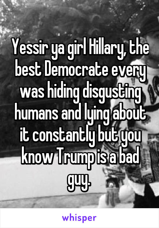 Yessir ya girl Hillary, the best Democrate every was hiding disgusting humans and lying about it constantly but you know Trump is a bad guy. 