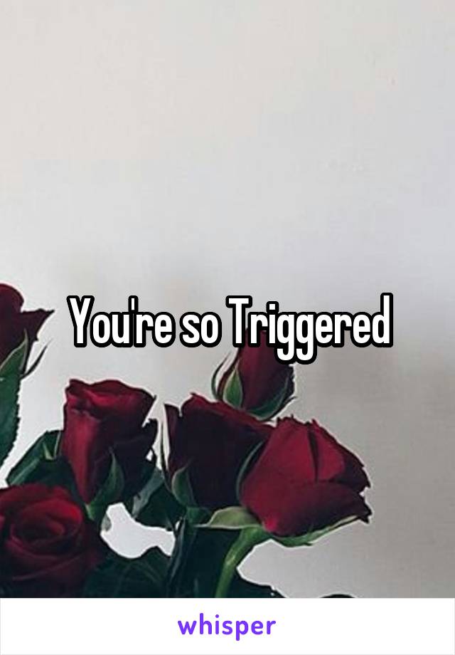  You're so Triggered