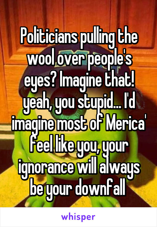 Politicians pulling the wool over people's eyes? Imagine that! yeah, you stupid... I'd imagine most of Merica' feel like you, your ignorance will always be your downfall 