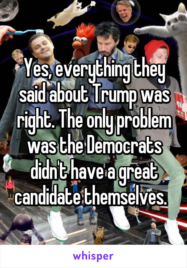 Yes, everything they said about Trump was right. The only problem was the Democrats didn't have a great candidate themselves.  