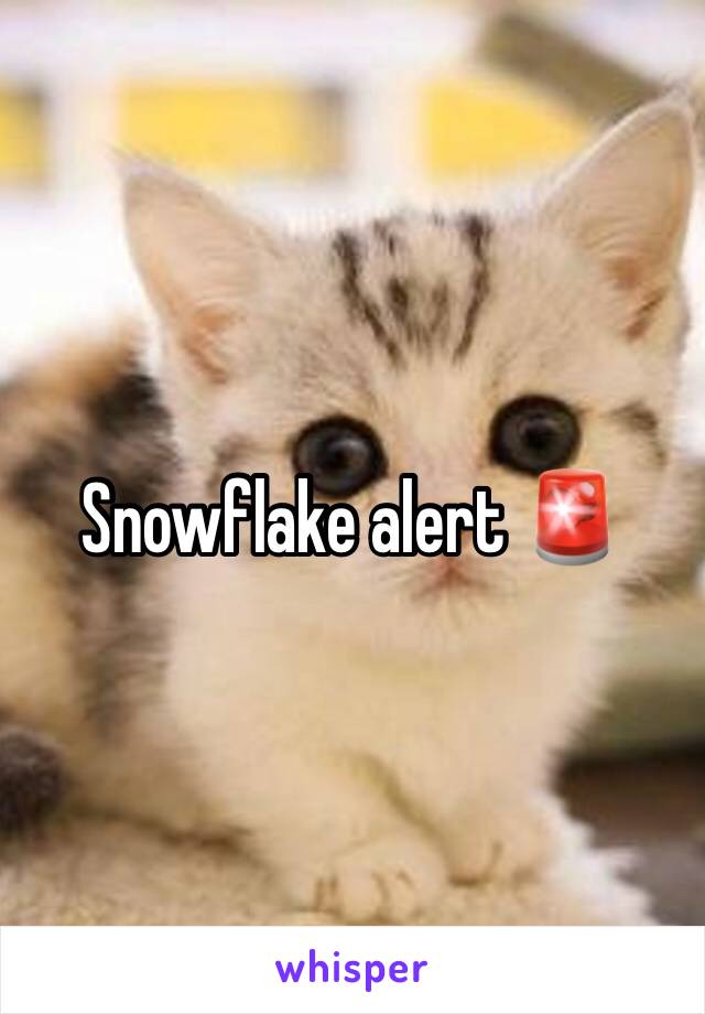 Snowflake alert 🚨 