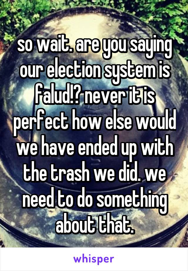 so wait. are you saying our election system is falud!? never it is perfect how else would we have ended up with the trash we did. we need to do something about that.