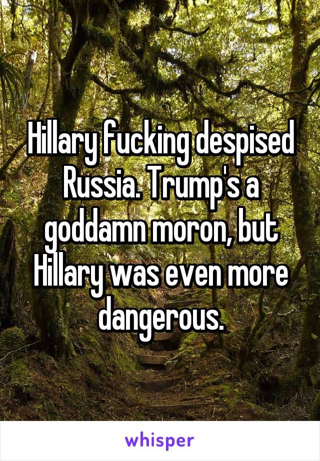 Hillary fucking despised Russia. Trump's a goddamn moron, but Hillary was even more dangerous.