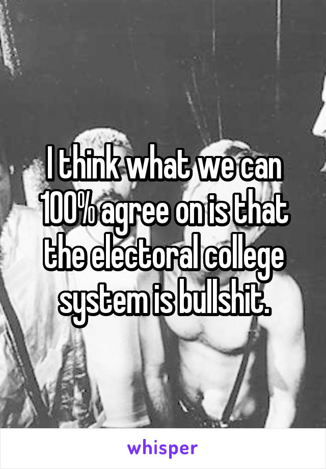 I think what we can 100% agree on is that the electoral college system is bullshit.